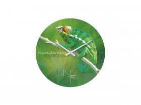 Часы настенные Nicole Time NT503 в Заковряжино - zakovryazhino.mebel-nsk.ru | фото